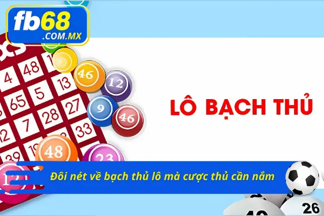 Những nét cơ bản về loại hình đặc biệt này