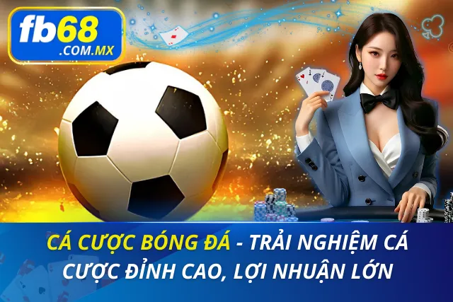 Cá Cược Bóng Đá